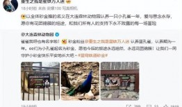 真理砂金爆料视频,真理砂金爆料视频深度解析